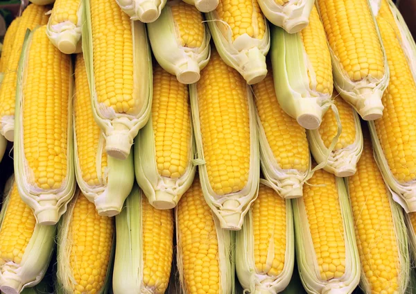 Uszy kukurydzy — Zdjęcie stockowe