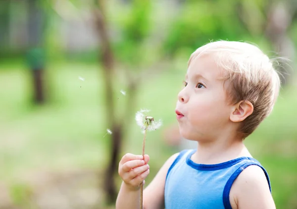Cute boy blowing on a dandelion on a background of nature — Stock Photo, Image