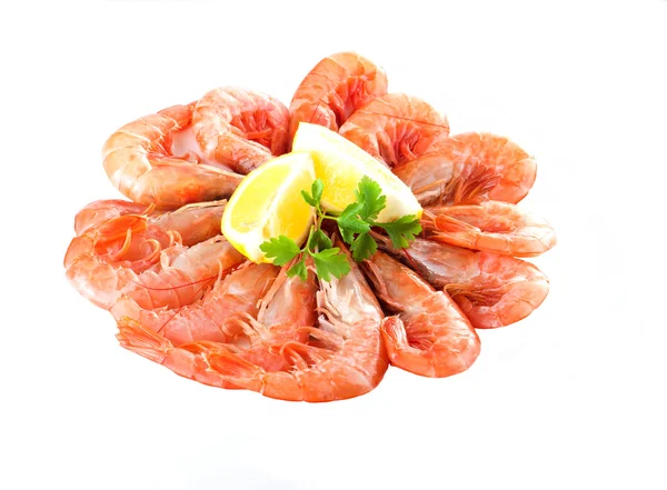 Shrimp in a white isolated background — Stock Photo, Image
