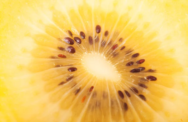 Kiwi amarillo — Foto de Stock