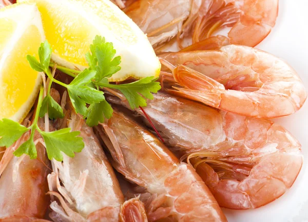 Fresh shrimp — Stock Photo, Image