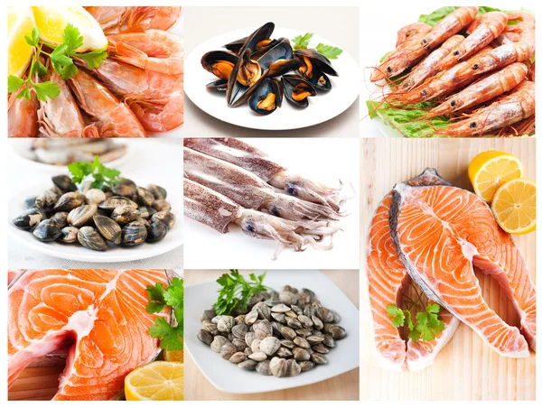 Collage de fotos de los productos pesqueros — Stok fotoğraf