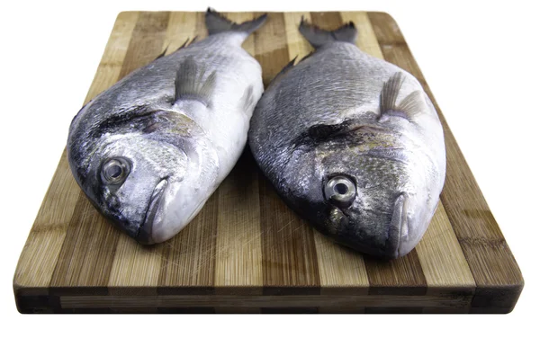 Two fresh sea bream on a cutting board on the isolation of a white background — Stock Photo, Image