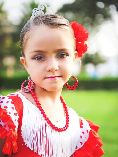 Portret van een meisje in een jurk met de traditionele aard — Stockfoto
