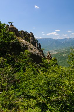 kayalar ağaçlar, Kırım, Ukrayna