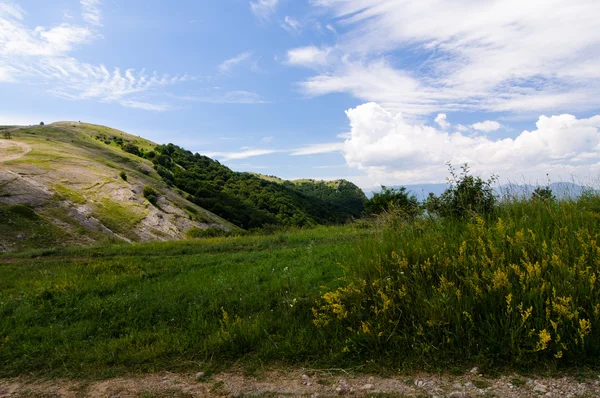 Berg plateau, Krim, Oekraïne — Stockfoto