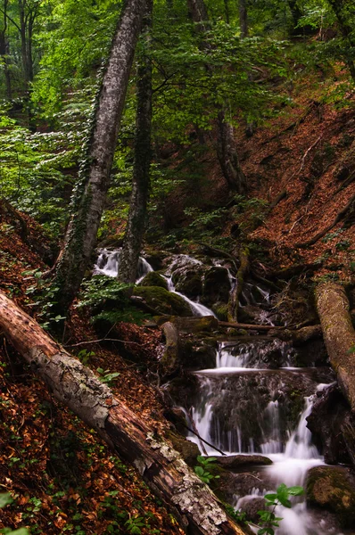 wataerfall orman, Kırım, Ukrayna