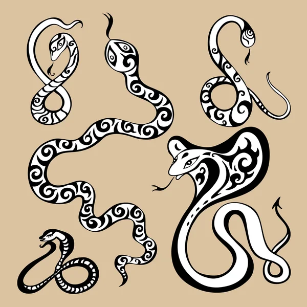Jaarsymbool slangen — Stockvector