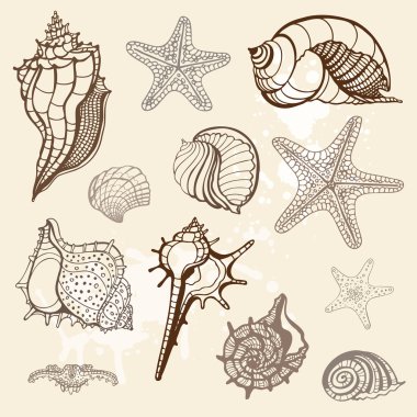 Sea collection. Hand drawn vector illustration clipart