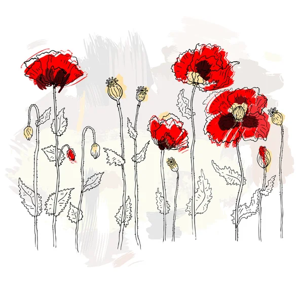 Poppy merah pada latar belakang putih - Stok Vektor
