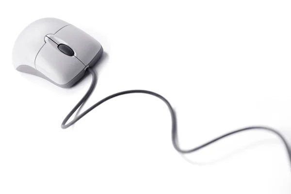 Компьютерная мышь на длинном проводе — стоковое фото
