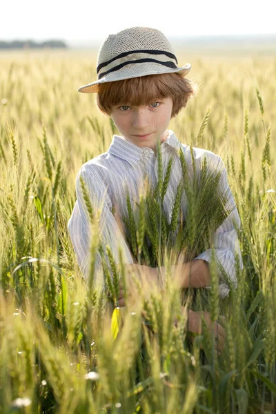 Jongen is tussen de oren van tarwe — Stockfoto