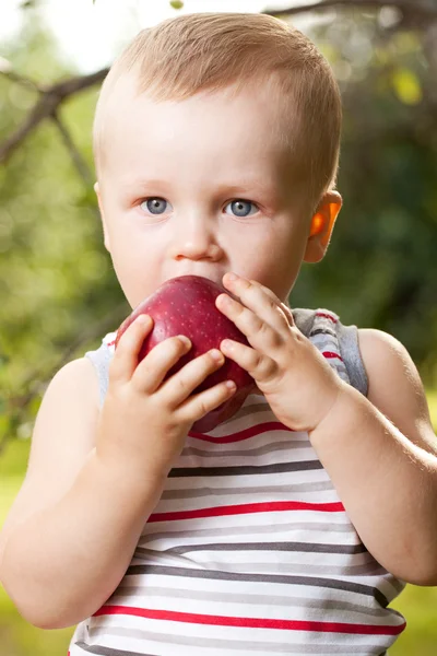 O miúdo está a tentar comer uma maçã vermelha. — Fotografia de Stock
