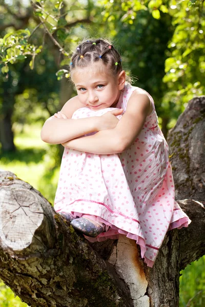 Kleines Mädchen kletterte auf einen Baum — Stockfoto