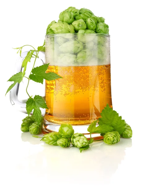 Glass beer with rich and aromatic hop — Stock Photo, Image