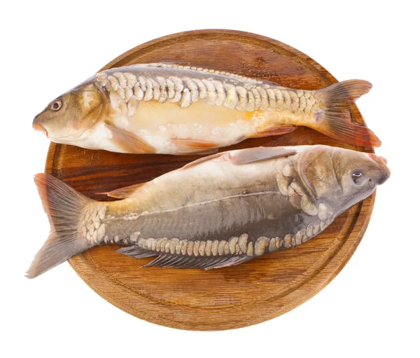 Fresh fish (carp) on wooden board — Stock Photo, Image