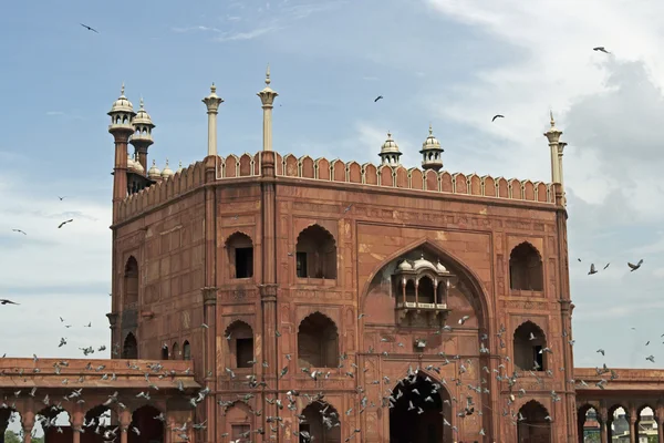 Puerta de entrada a la mezquita del viernes en el viejo Delhi —  Fotos de Stock