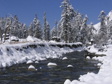 Himalaya dağ Nehri