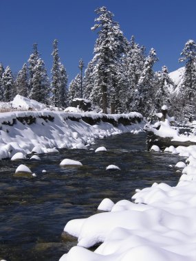 Dağ nehri