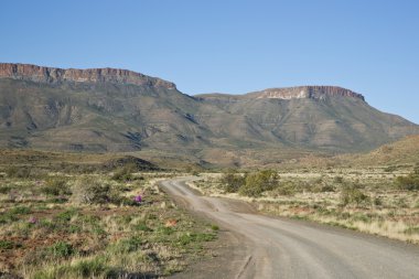Gravel road in the Karoo National Park clipart