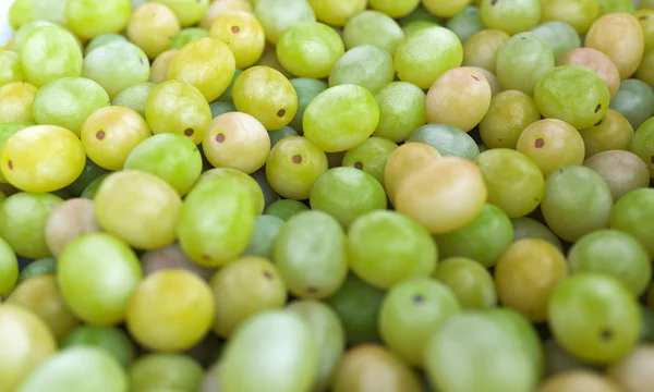 stock image Grapes