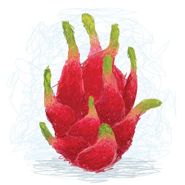 Dragon fruit clipart