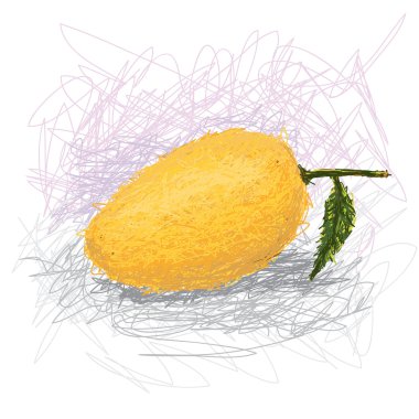 taze mango meyvesi