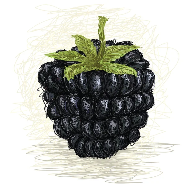 Νωπά φρούτα βατόμουρου. — Διανυσματικό Αρχείο