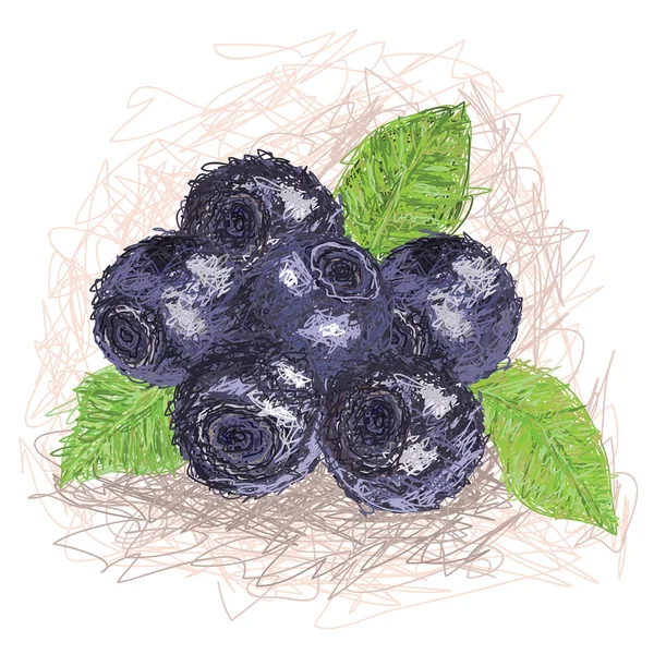 新鲜蓝莓水果. — 图库矢量图片