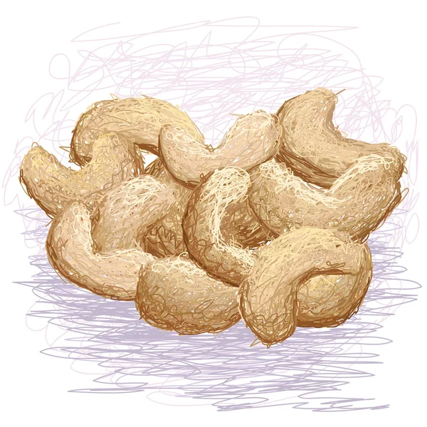 Cashew nuts. — Stock Vector