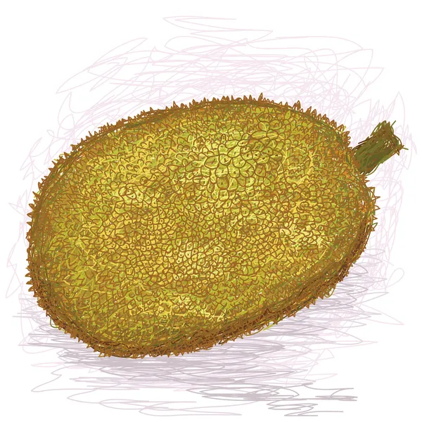 Ripe jackfruit — Stock Vector