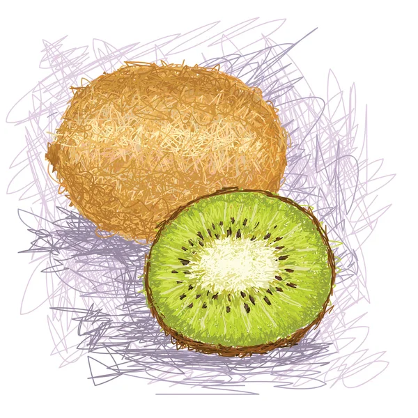 Kiwi ovoce — Stockový vektor