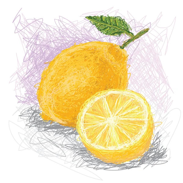 Fresh lemon fruit — Stock Vector