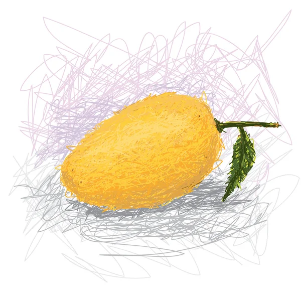 Fresh mango fruit — Stock Vector