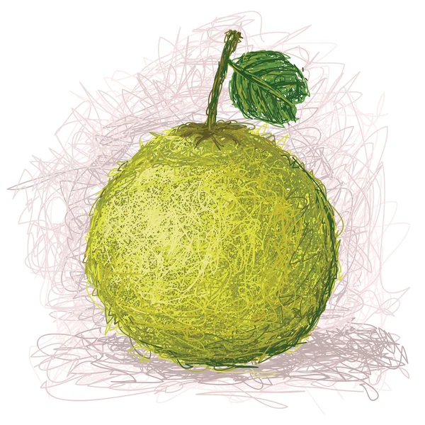 Fruits frais de Pomelo — Image vectorielle