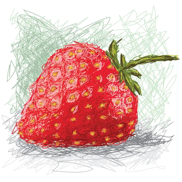 Fresh strawberry fruit. — Stock Vector
