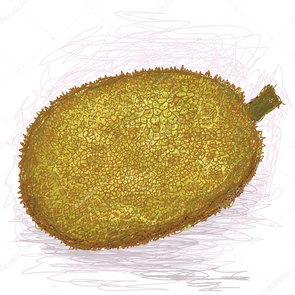 Ripe jackfruit