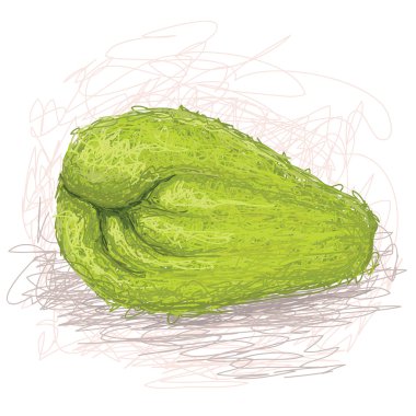 taze chayote