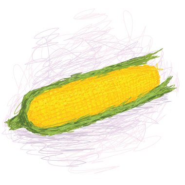 Fresh yellow corn cob clipart