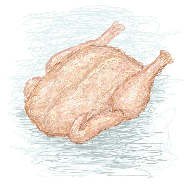 Fresh raw chicken — Stock Vector