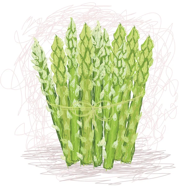 Bouquet frais de légumes asperges — Image vectorielle