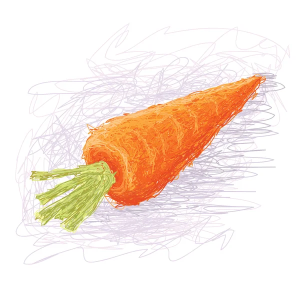 Friss sárgarépa zöldség — Stock Vector
