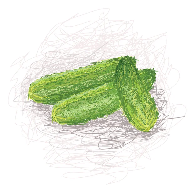新鲜黄瓜蔬菜 — 图库矢量图片