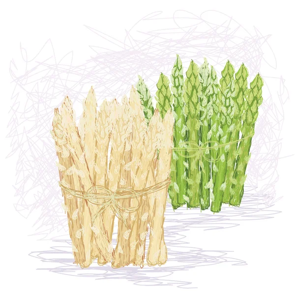 Verse groene en witte asperges — Stockvector
