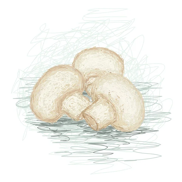 Närbild illustration av en färska champinjoner isolerade. — Stock vektor
