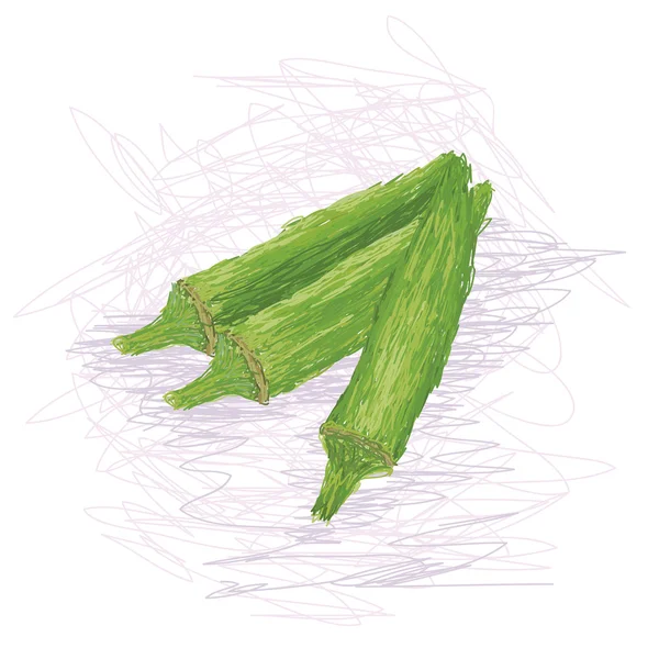 Ilustrație de aproape de legume proaspete okra izolate . — Vector de stoc