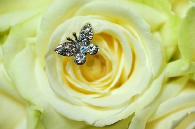 Rose macro with butterfly clipart