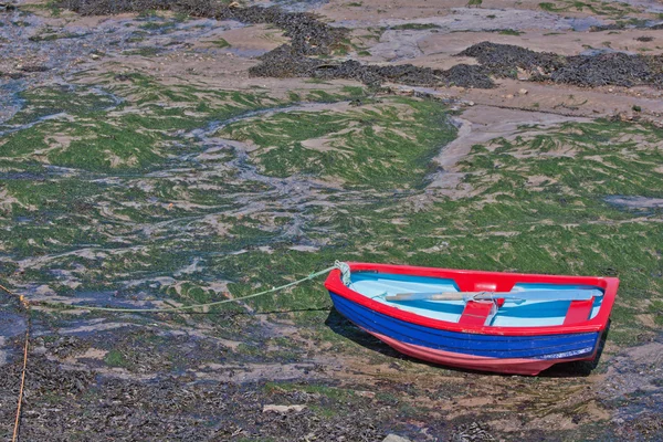 Jaskrawo kolorowe łódki — Zdjęcie stockowe