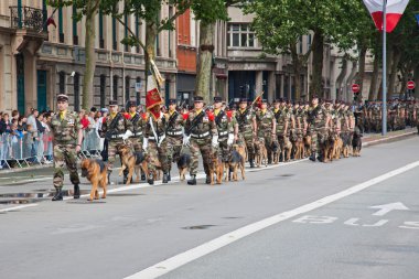 köpek yürüyüş