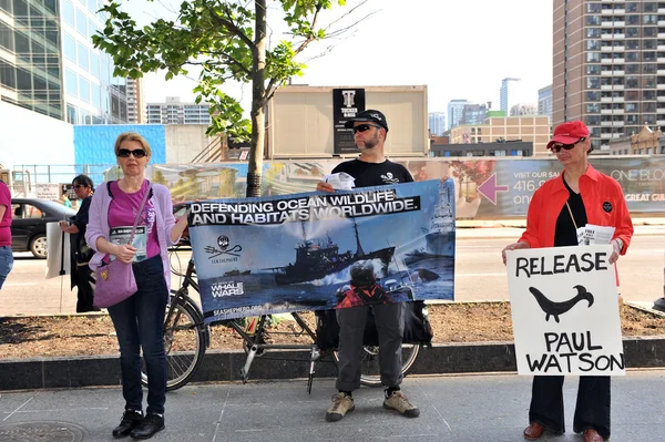 Rally for Sea Shepherd Paul Watson in Toronto — Stock Photo, Image
